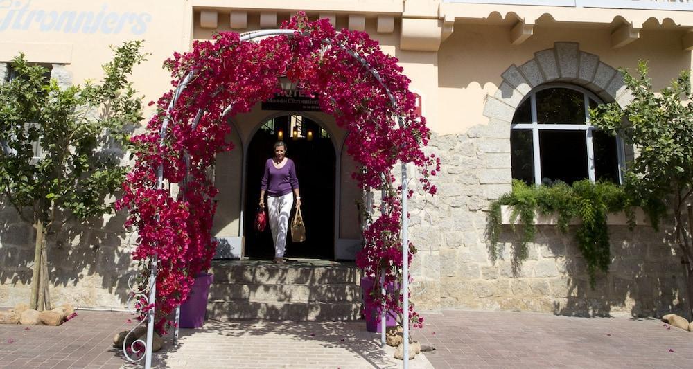 Des Citronniers Hotel